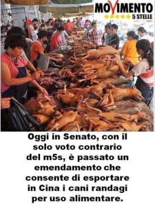 bufala-originale