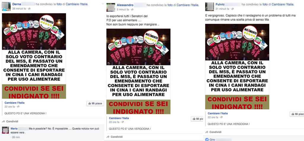 condivisioni