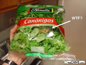 funny-random-hilarious-4-6-09-11