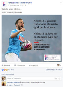 vallarino