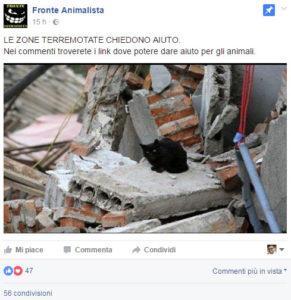 fronte-animalista-terremoto