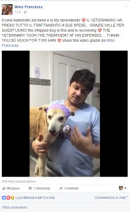 video-cane-veterinario