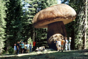 Foto che circola dal 2000