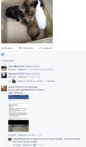 chat-whatsapp